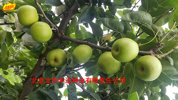 �������������ҵ���޹�˾